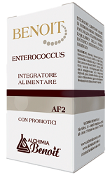 ENTEROCOCCUS  com Probiotici  - 30 Capsule