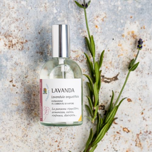 CANDELA VEGETALE FRAGRANZA LAVANDA - CERERIA LUMEN - - Erboristeria Acqua  di Luna