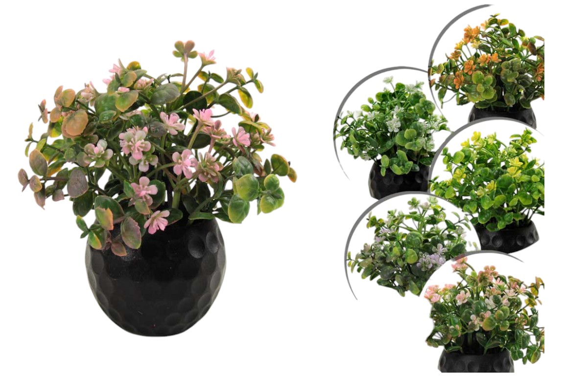 Vaso con piantine 826214