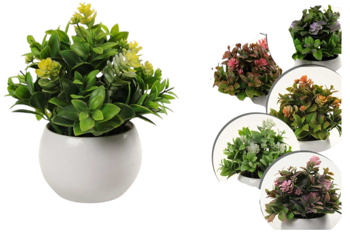 Vaso con piantine 826252