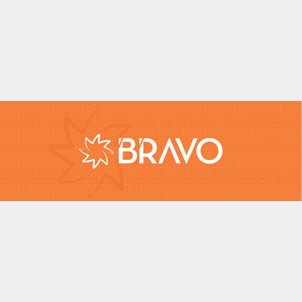 Bravo - banner 300x100 (necessita di 16 elastici)