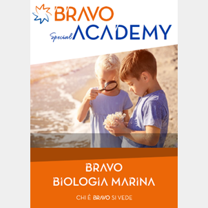 Bravo - locandine academy A4