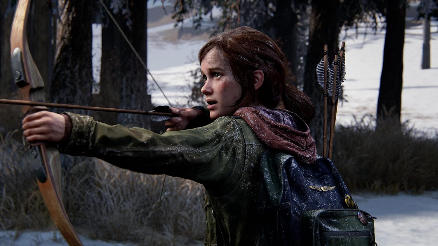 The Last of Us Part 1 Remake