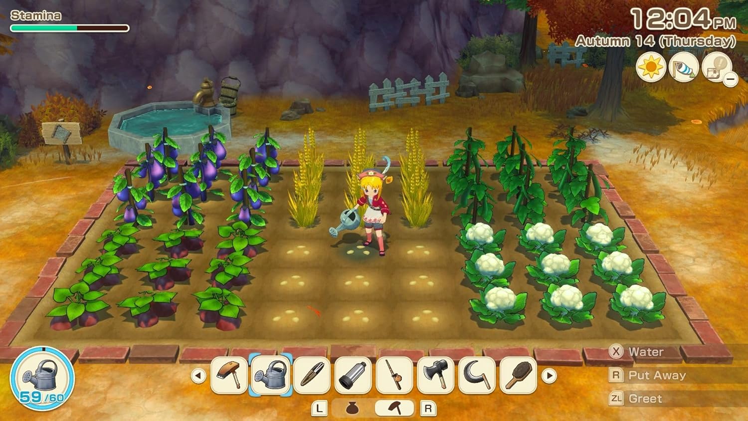 Story of Seasons Grand Bazaar