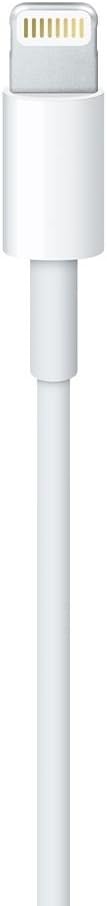 Cavo Apple da Lightning a USB (2m)