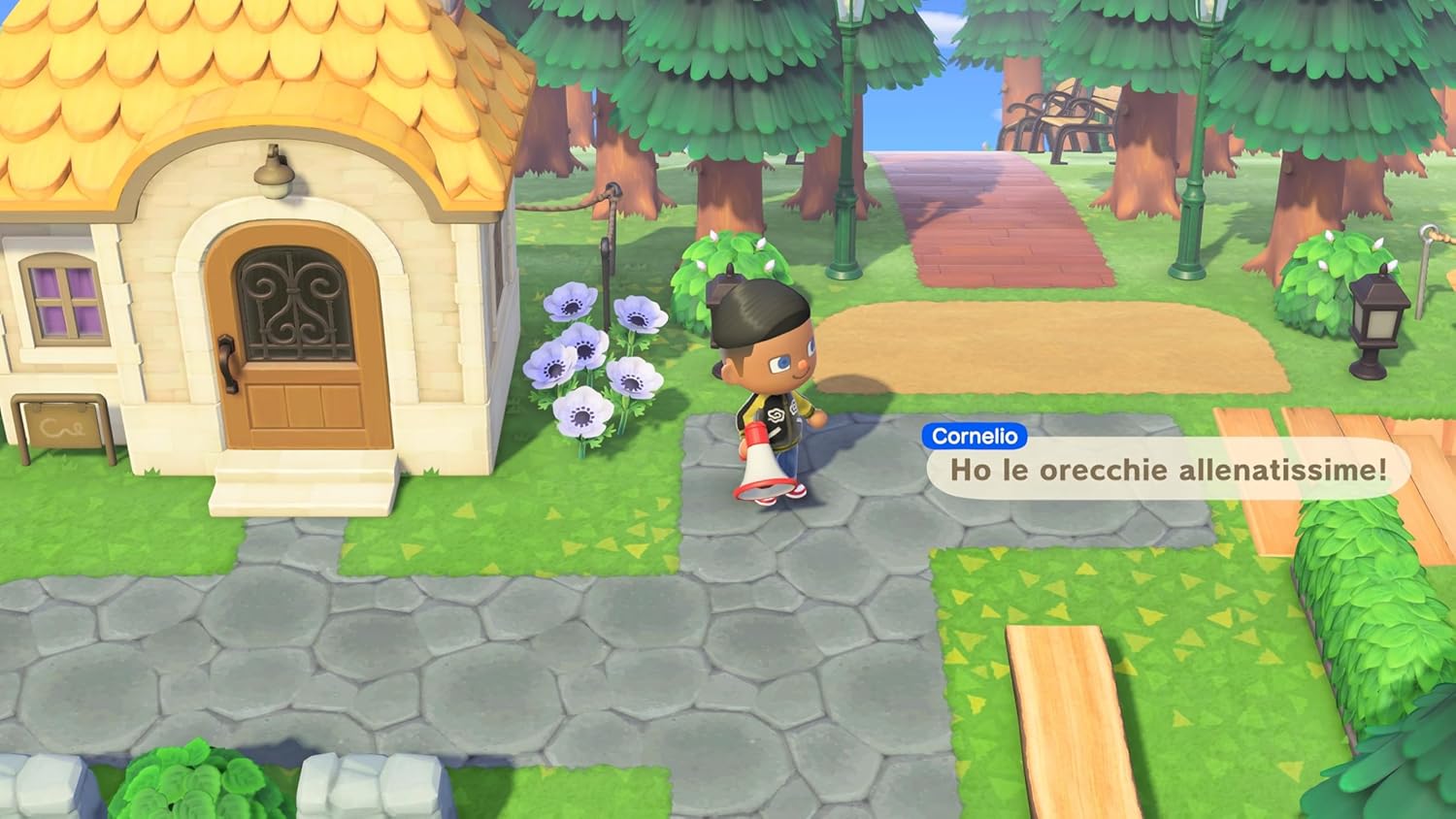 Animal Crossing: New Horizons