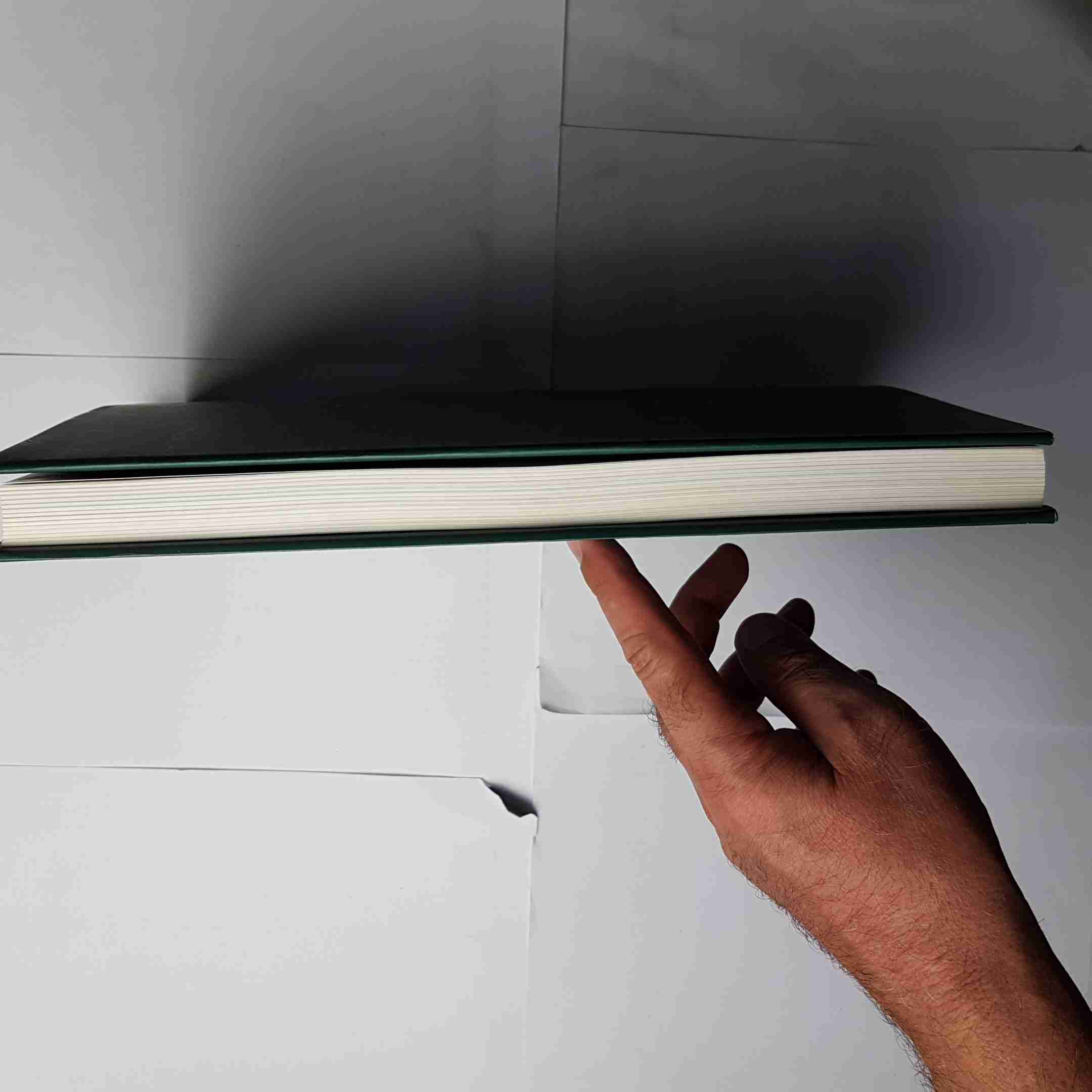 CATELLANI opere pittoriche e grafiche POESIA Montecchio Emilia