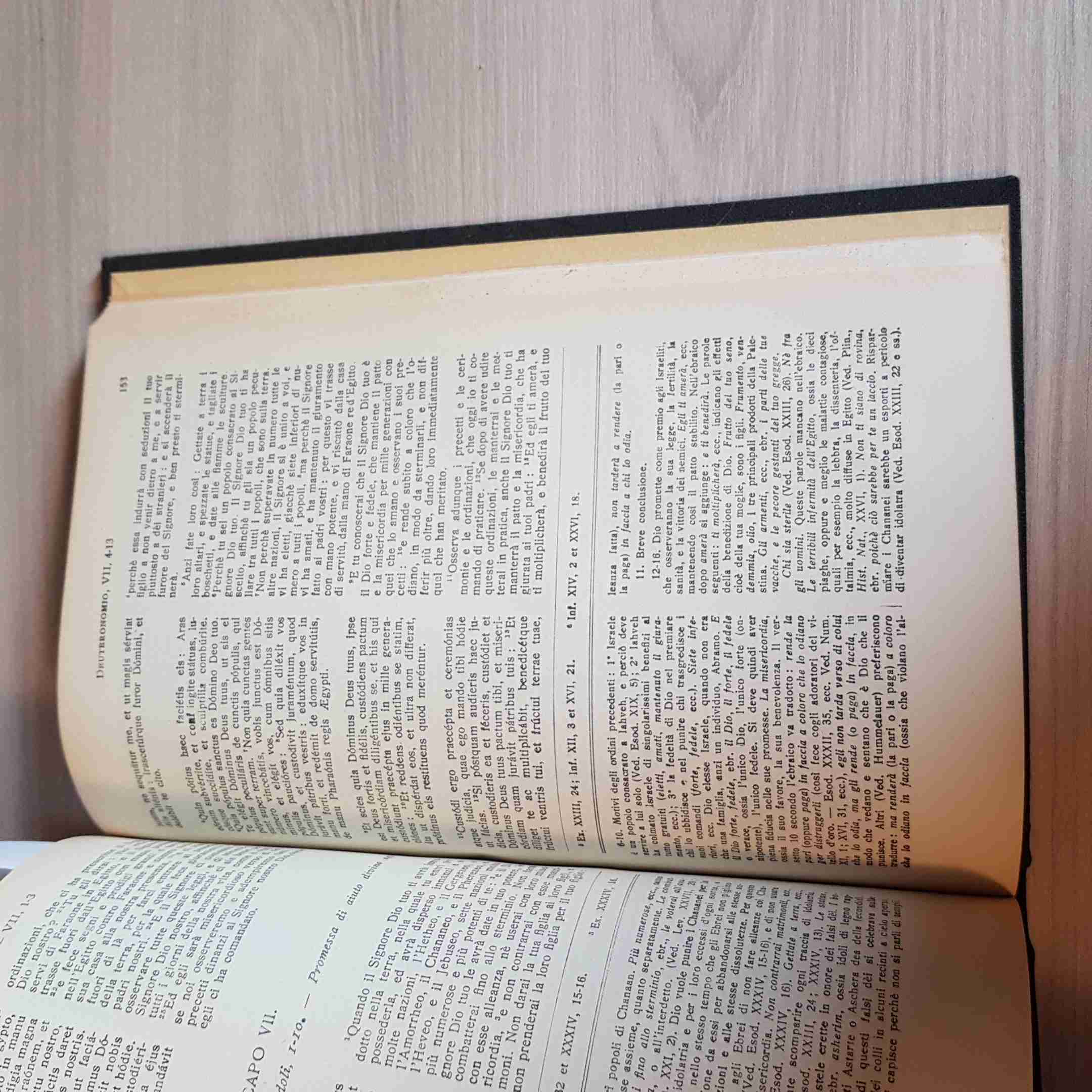 LA SACRA BIBBIA VECCHIO TESTAMENTO numeri deuteronomio COMMENTATO DA SALES 1940