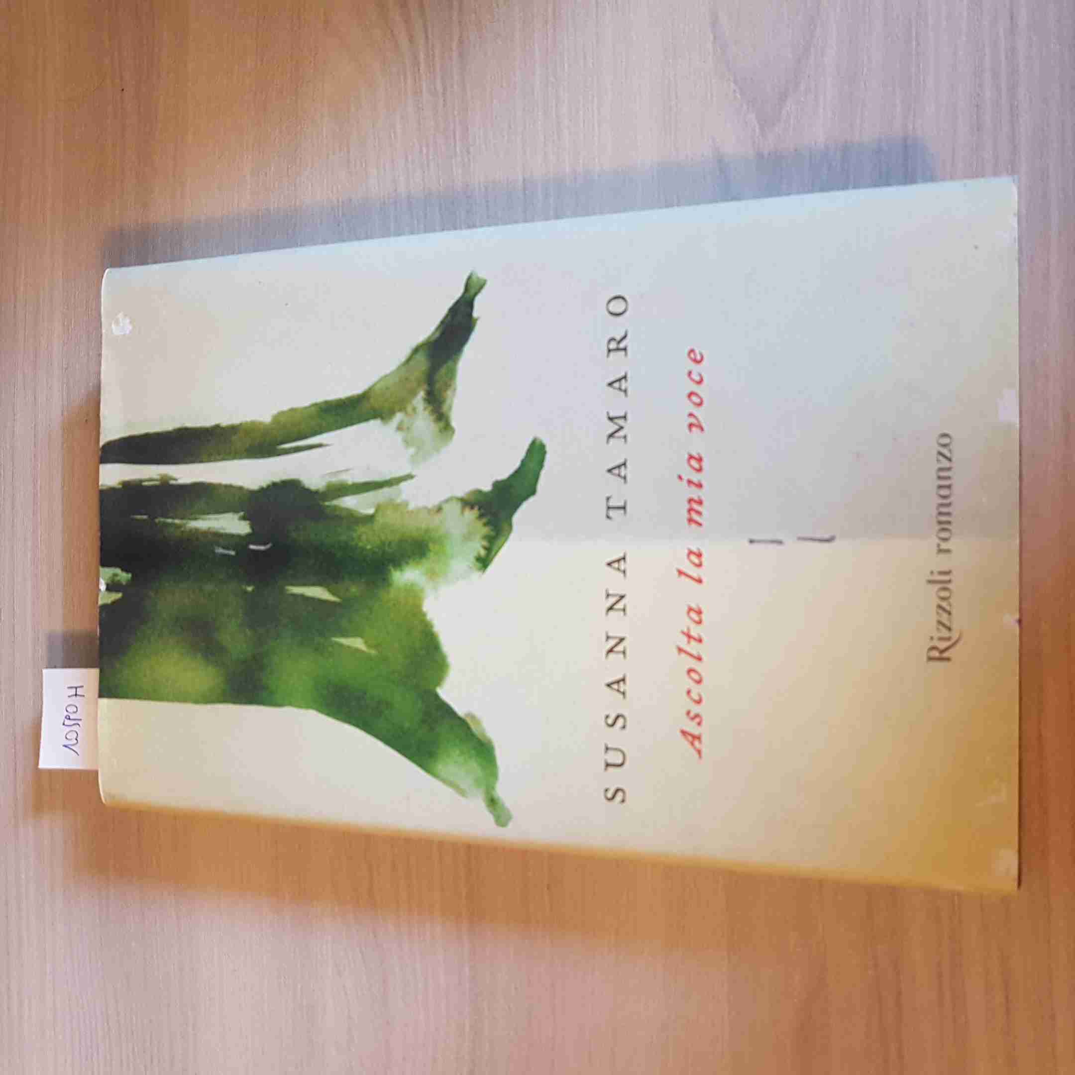 LISTEN TO MY VOICE Erstausgabe SUSANNA TAMARO – RIZZOLI – 2006