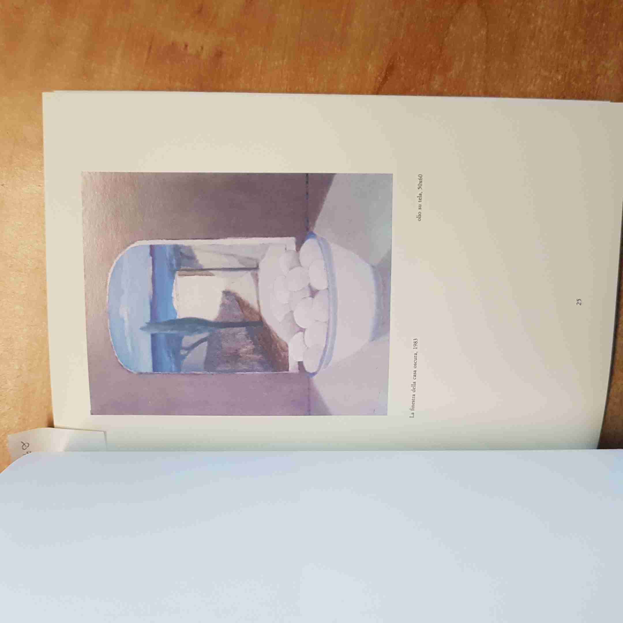 FRANCO BERALDO CATALOGO istituto cultura danimarca copenaghen PAOLO RIZZI