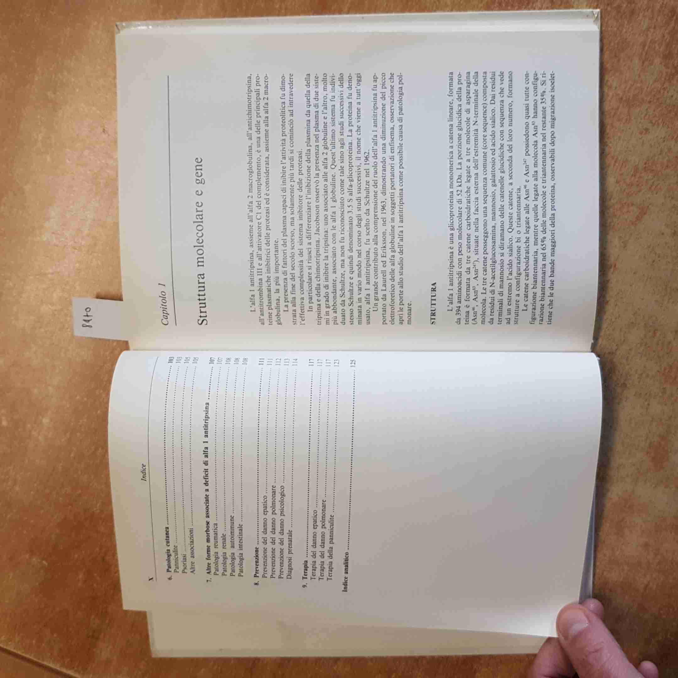 PITTSCHIELER - BIOQUÍMICA CLÍNICA PATOLÓGICA ALFA UNO ANTITRIPSINA 1993 VERDUCI