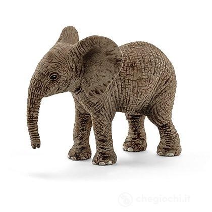 CUCCIOLO DI ELEFANTE AFRICANO (5)