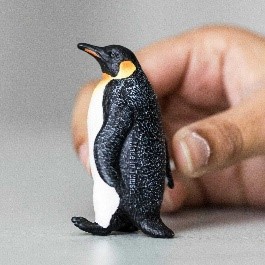 PINGUINO IMPERATORE