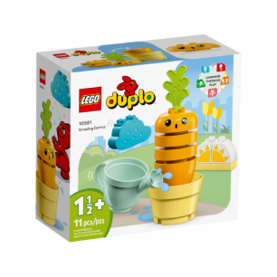 DUPLO MY FIRST - UNA CAROTA CHE CRESCE - 10981