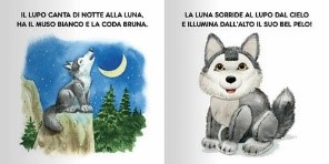DAMI EDITORE - TOCCA E SENTI - GLI ANIMALI SELVAGGI