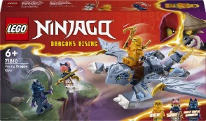 LEGO NINJAGO - DRAGHETTO RIYU - 71810