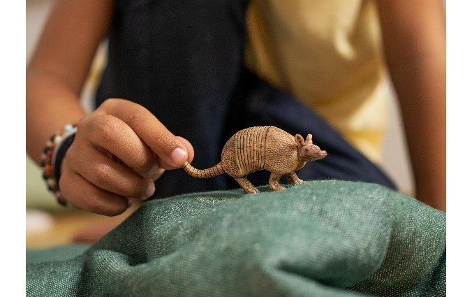 ARMADILLO