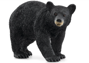 ORSO NERO AMERICANO