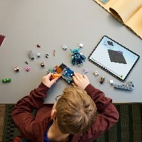 LEGO - MINECRAFT - L’INCONTRO CON IL SORVEGLIANTE - 21274