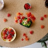 LEGO - BOTANICALS - BONSAI DI ACERO ROSSO GIAPPONESE - 10348