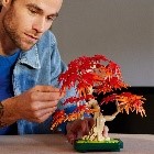 LEGO - BOTANICALS - BONSAI DI ACERO ROSSO GIAPPONESE - 10348