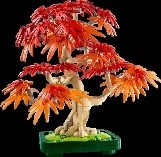 LEGO - BOTANICALS - BONSAI DI ACERO ROSSO GIAPPONESE - 10348