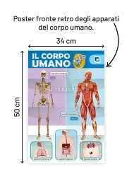CORPO UMANO (IL) ESPLORO E IMPARO