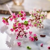 BOTANICALS - FIORI DI CILIEGIO - 40725
