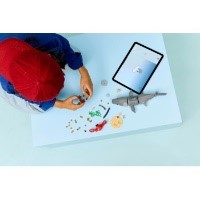 LEGO - CREATOR - SQUALO CON SCRIGNO DEL TESORO - 31381