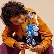 LEGO - HARRY POTTER TM - FOLLETTO DELLA CORNOVAGLIA - 76461