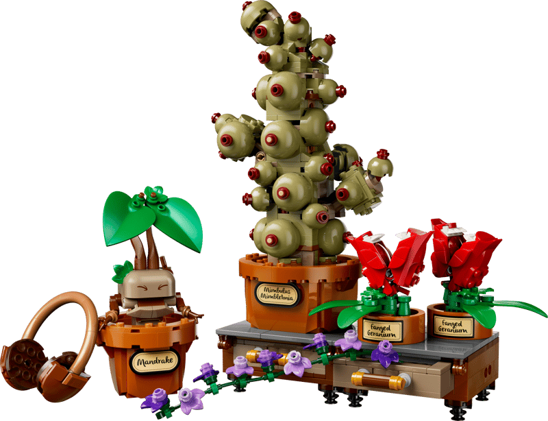 LEGO HARRY POTTER TM - PIANTE DI ERBOLOGIA DI HOGWARTS - 76474