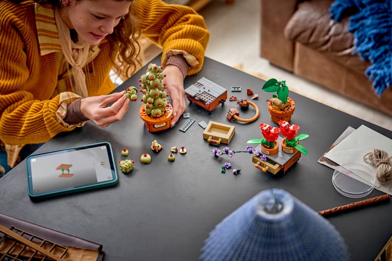 LEGO HARRY POTTER TM - PIANTE DI ERBOLOGIA DI HOGWARTS - 76474