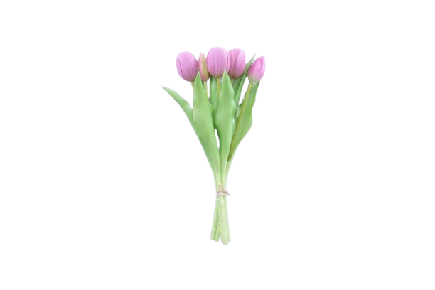 Mazzo tulipani in gomma 5pz 31cm fucsia<br /><br />